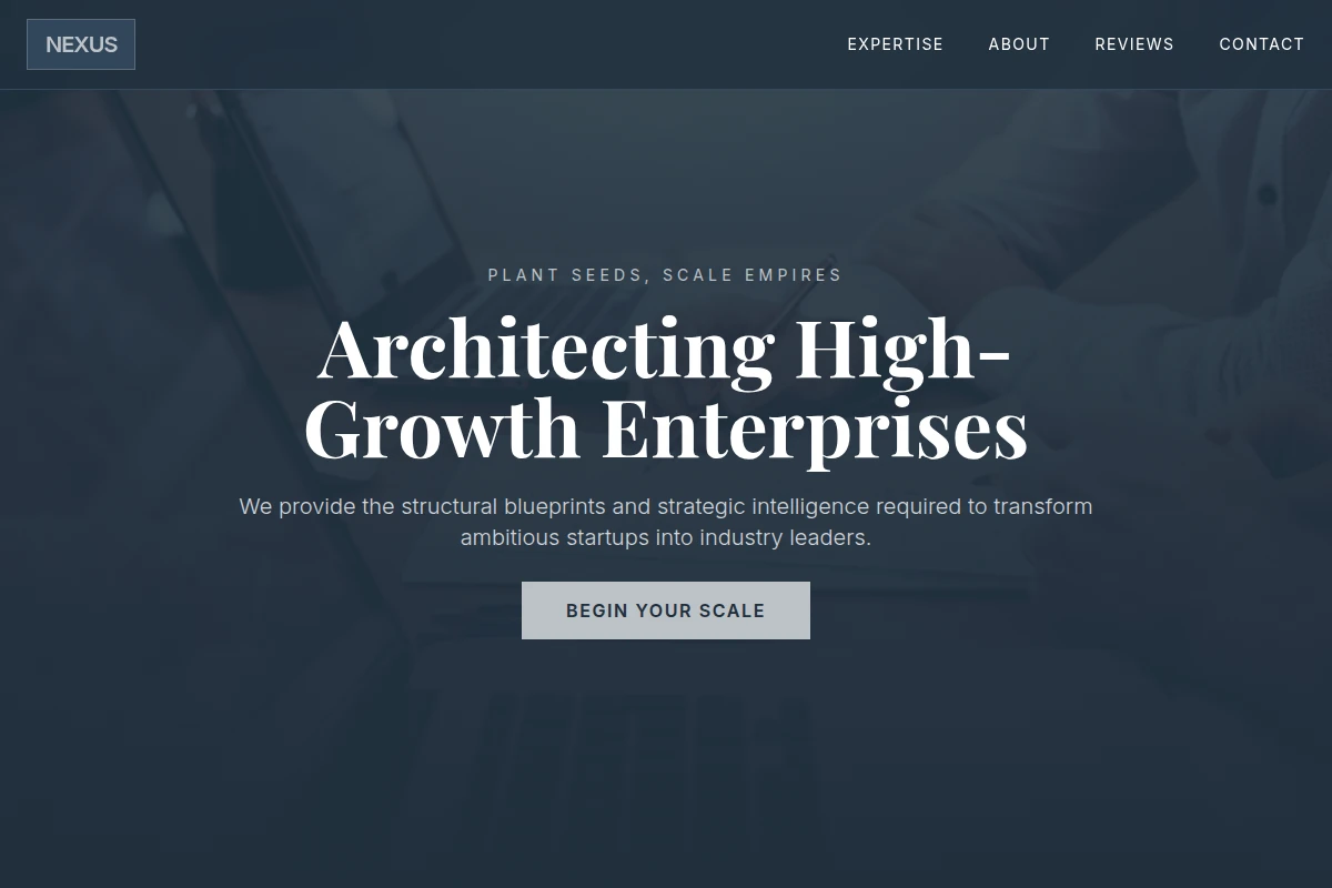 Nexus Business Plan