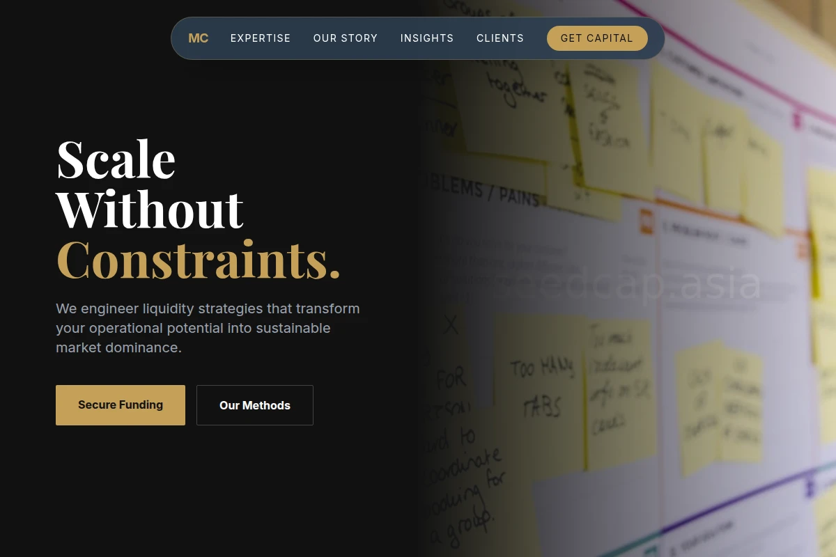 Liquidity Business Plan